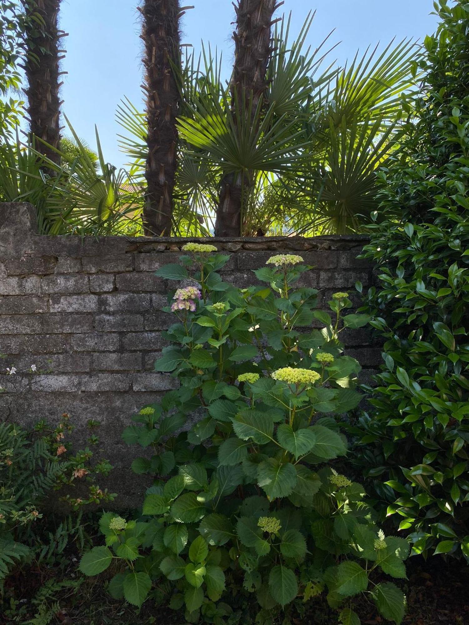 Vila Casa Tranquilla Cannobio Exteriér fotografie